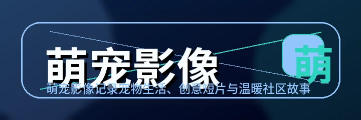 萌宠影像